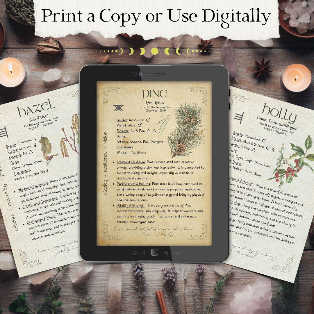 25 X Ogham Alphabet Illustrated Pages, Ancient Druid Writing, Celtic ...