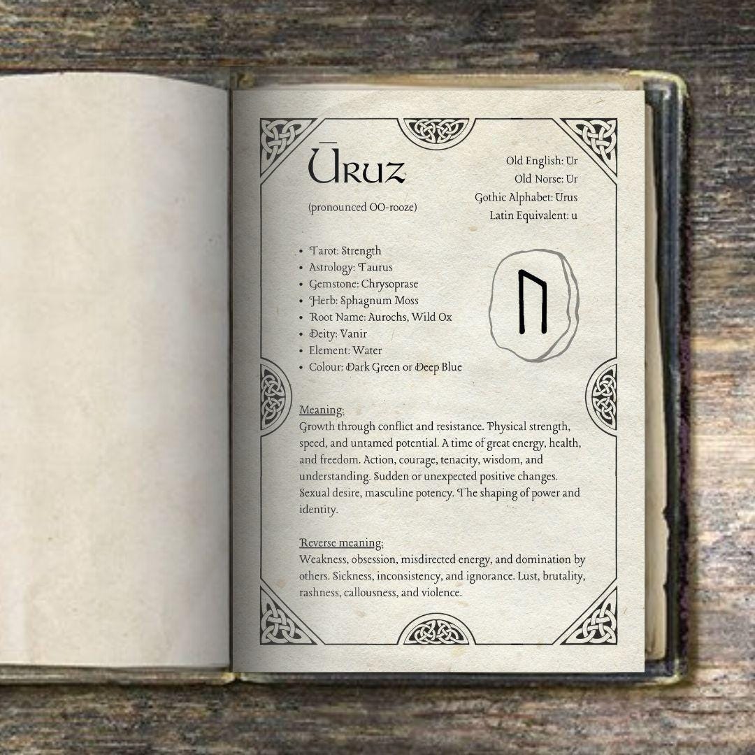 Elder Futhark Rune Guide| Rune Meanings, Norse Runes With Names ...