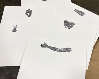 The Anatomy Collection- Limited Edition Letterpress Note Cards, Set of 6 - White