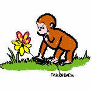 Puede incluir: Una ilustración de dibujos animados de un mono marrón mirando una flor amarilla con acentos rosados y rojos. El mono está de pie sobre hierba verde.