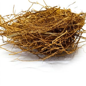 May include: A cluster of dried, light brown, fibrous roots intertwined to form a dense, tangled mass. The roots are thin, brittle, and vary in length, creating a complex, organic texture with numerous branching segments and fine, hair-like strands.