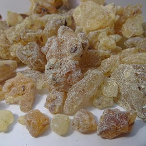 Puede incluir: Una colección de pequeños trozos de resina irregulares y translúcidos en tonos amarillo pálido, ámbar y oro claro. Los trozos tienen una textura cristalina y dentada con un polvo blanco opaco y algunas inclusiones marrones oscuras.