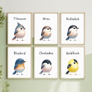Adorable Bird Art Printables for Nursery and Toddler Room - Set of 6 Illustrated Birds and 5 Collages - Instant Digital Download