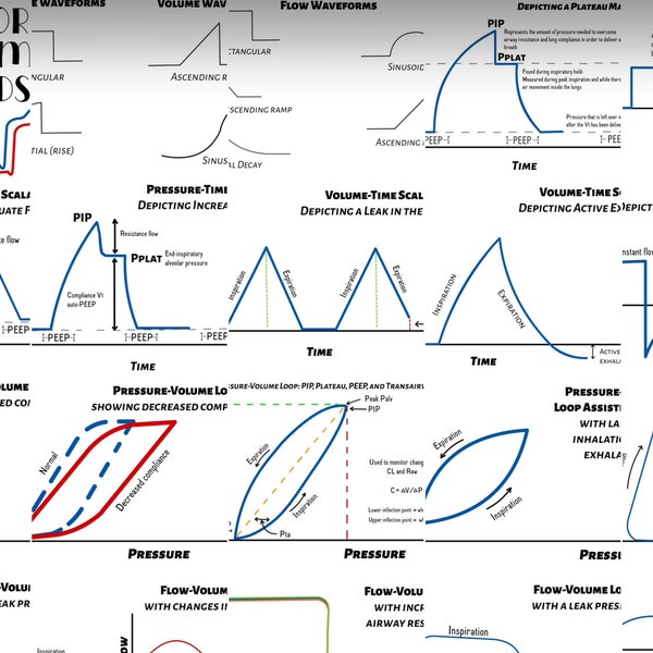 Ventilator Waveform flashcards