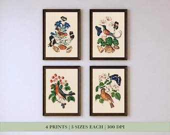 Vintage Bird Botanical Prints - Gallery Wall Art Set of 4 | Butterfly & Floral Wall Art | Antique Nature Decor | Digital Download