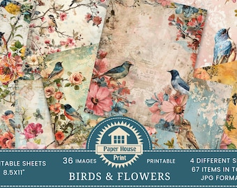 Mixed Media Shabby Chic Vintage Birds & Floral Digital Paper, Shabby Chic Paper Pack, Spring Flowers and Birds Scrapbook Collage Sheets, ATC