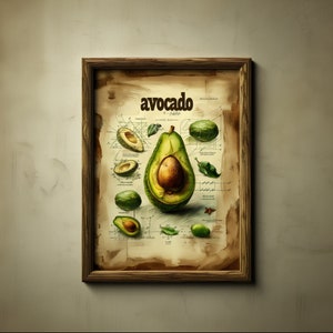 Botanical Anatomy Art Print • Avocado Illustration • Educational Digital Download