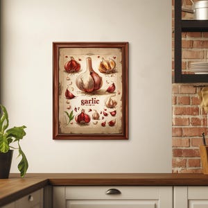 Botanical Anatomy Art Print • Garlic Illustration • Educational Digital Download