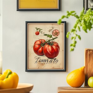 Botanical Anatomy Art Print • Tomato Illustration • Educational Digital Download