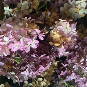 Wedding confetti, tossing flowers! Real hydrangeas. Pink variety