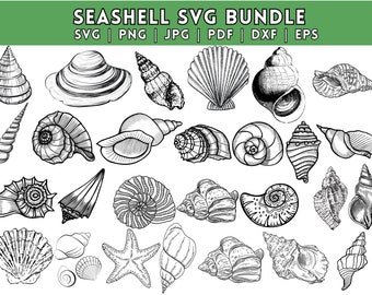 Seashell SVG Bundle: Clipart, Cut Files for Cricut (Digital Download)