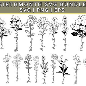 Birth month svg bundle, Birth month flowers svg, Wildflower svg, Birthday flower, Flower clipart, Botanical svg, Floral svg, Daisy svg, PNG