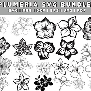 Botanical Plumeria flower Bundle SVG, PNG tropical hawaii Flower outline Silhouette, plumeria clipart shirt cut files for cricut