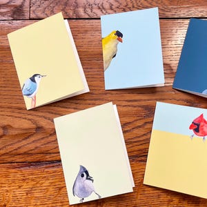 Lot de 10 cartes de correspondance oiseaux aquarelles, avec enveloppes, chardonneret jaune, mésange huppée, sittelle, junco ardoisé, cardinal, 2 de chaque oiseau
