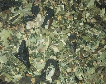 Herbal Refreshing Tea
