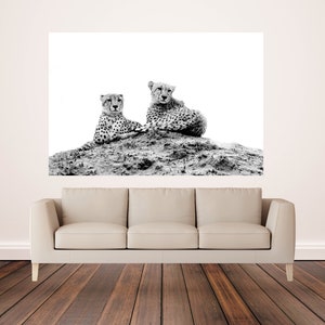 Cheetah Pose. Cheetah art. Wall art. Wildlife photography