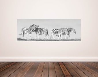 Zebra Mirror