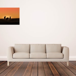 Wildebeest. Wall art. decor