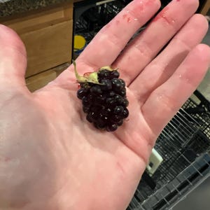 Zelfgemaakt 8oz. Nectarbessenjam met weinig suiker