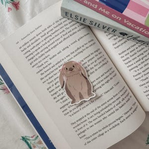 Coquette | Bunny |Kindle | Sticker | Laptop Sticker