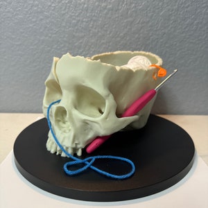 Skull Yarn Bowl