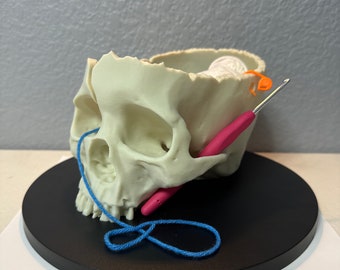 Skull Yarn Bowl – Heavy, Stable Yarn Holder for Knitting and Crochet