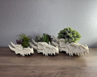 Horned Dragon Head Skull Planter