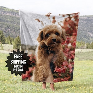 Manta con foto personalizada, manta con foto para mascotas, regalo para mamá perruna, manta personalizada para mascotas, manta para mascotas, manta personalizada para perros y gatos, manta con foto personalizada
