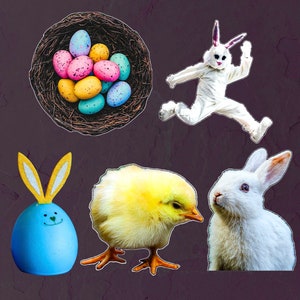 May include: A colorful assortment of Easter eggs in a woven basket, a white bunny rabbit wearing a white costume, a fluffy yellow chick, and a white rabbit with pink ears.