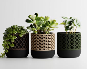Modular Plant Pot | 3D Printed Succulent Planter, Interchangeable Design