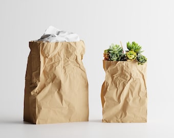 3D Printed Crumpled Paper Bag Planter | Modern Vase Desk Organizer
