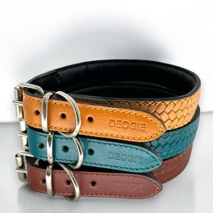May include: Three leather dog collars in brown, teal, and tan with a woven pattern. Each collar has a silver buckle and the word "DEOGIE" embossed on the leather.