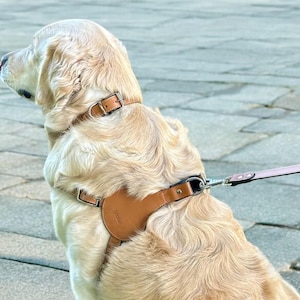 Handmade Leather Dog Harness: Personalized Step-In, Adjustable Fit, Harness for Medium and Large Dogs