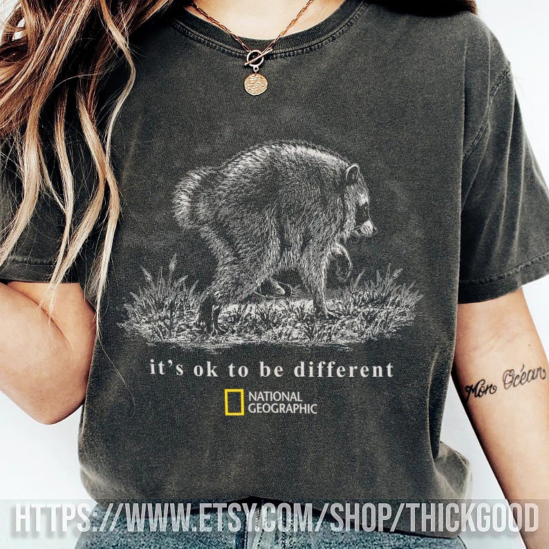 Camiseta Comfort Colors Jimothy Raccoon, Camiseta del famoso mapache de Seattle, Camiseta gráfica vintage Y2K, Camiseta de lindo mapache, Regalo divertido de animales imagen 3