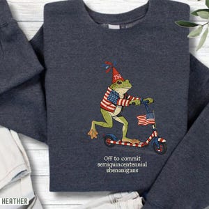 May include: Dark grey sweatshirt with a frog illustration riding a scooter, wearing an American flag jacket and a party hat with the number 250. The scooter has an American flag. Text reads, "Off to commit semiquincentennial shenanigans."