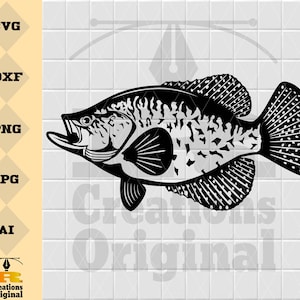 Crappie Fish SVG | Panfish Fishing SVG | Angling SVG | Fish Decals Vinyl Stencil Graphics | Cut Files Clip Art Vector Digital Dxf Png Eps