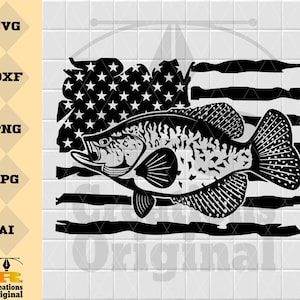 US Crappie Fish | Panfish Fishing SVG | Angling SVG | Fish Decals Vinyl Stencil Graphics | Cut Files Clip Art Vector Digital Dxf Png Eps