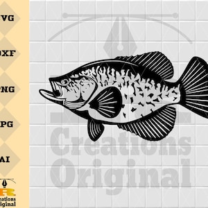 Crappie Fish | Panfish Fishing SVG | Angling SVG | Fish Decals Vinyl Stencil Graphics | Cut Files Clip Art Vector Digital Dxf Png Eps