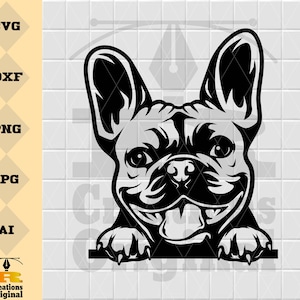Cute French Bulldog Svg | Frenchie svg | funny dog clipart | pet face png | Bulldog breed Svg | Frenchie Clipart Print | Dfx Png Svg