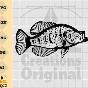 Crappie Fish SVG | Panfish Fishing SVG | Angling SVG | Fish Decals Vinyl Stencil Graphics | Cut Files Clip Art Vector Digital Dxf Png Eps