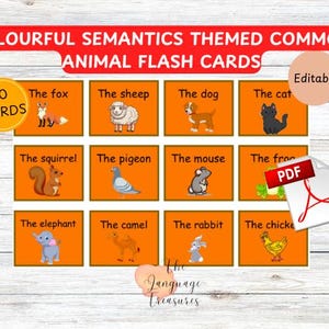 Cartões de memória flash com nomes de animais para pré-escola para cartões de memória flash com tema de semântica colorida para construção de vocabulário para comunicação