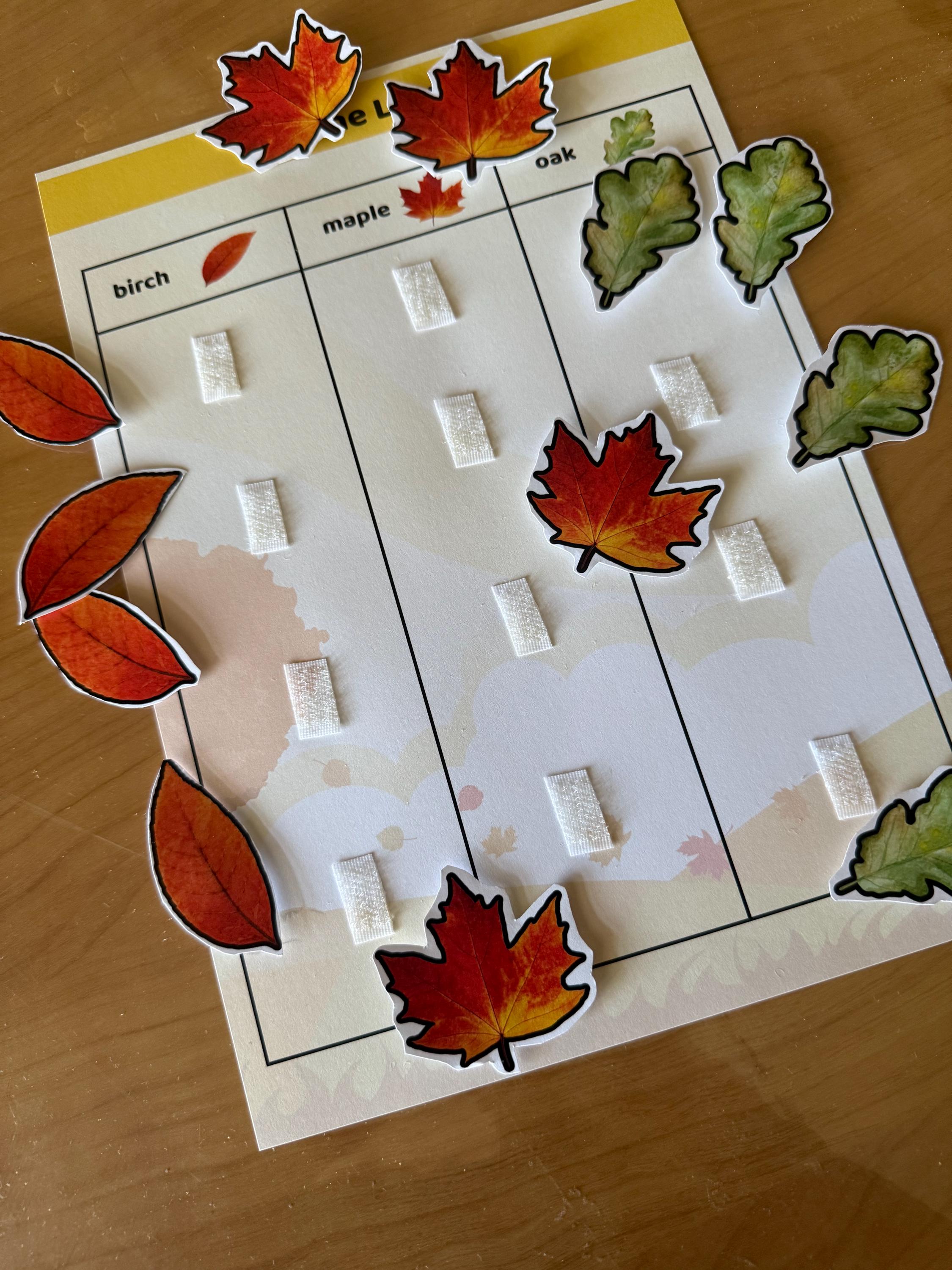 Leaf Shape Sorting Activity | Preschool Fall Nature Game | Printable ...