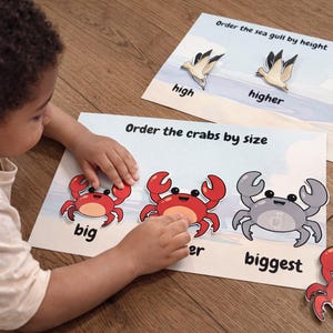 Pode incluir: Uma criança interage com cartões educativos. Um cartão diz "Order the crabs by size" com ilustrações de caranguejos rotulados como "big", "er" e "biggest". Outro cartão mostra gaivotas e as palavras "high", "higher" e "highest".