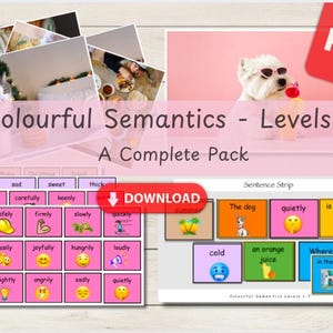 Colorful Semantics Sentence Builder: Speech Therapy for Autism (Digital Print)