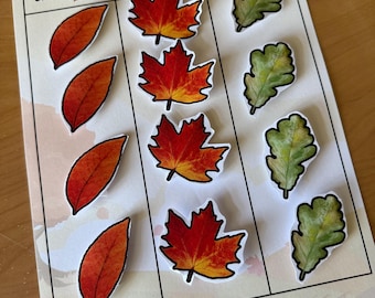 Pode incluir: Um jogo educativo impresso intitulado "Sort the Leaves". O jogo apresenta uma grade com ilustrações de folhas de bétula, bordo e carvalho. As folhas são em tons de vermelho, laranja e verde, com o texto "Sort the Leaves" no topo.