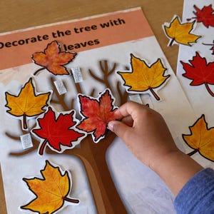 May include: A child's hand places a red leaf sticker on a tree illustration. The image features a tree with brown branches and several colorful leaf stickers in shades of red and yellow. The text "Decorate the tree with leaves" is visible.