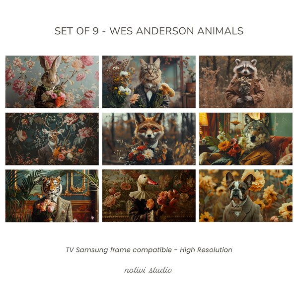 Ensemble de 9 photographies - Wes Anderson movie style - animal anthropomorphe - tv frame art Téléchargement numérique Art cadre TV Samsung