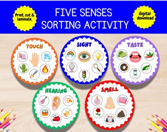 Actividad de clasificación de los cinco sentidos: libro de actividades para niños pequeños, imprimible (descarga digital)