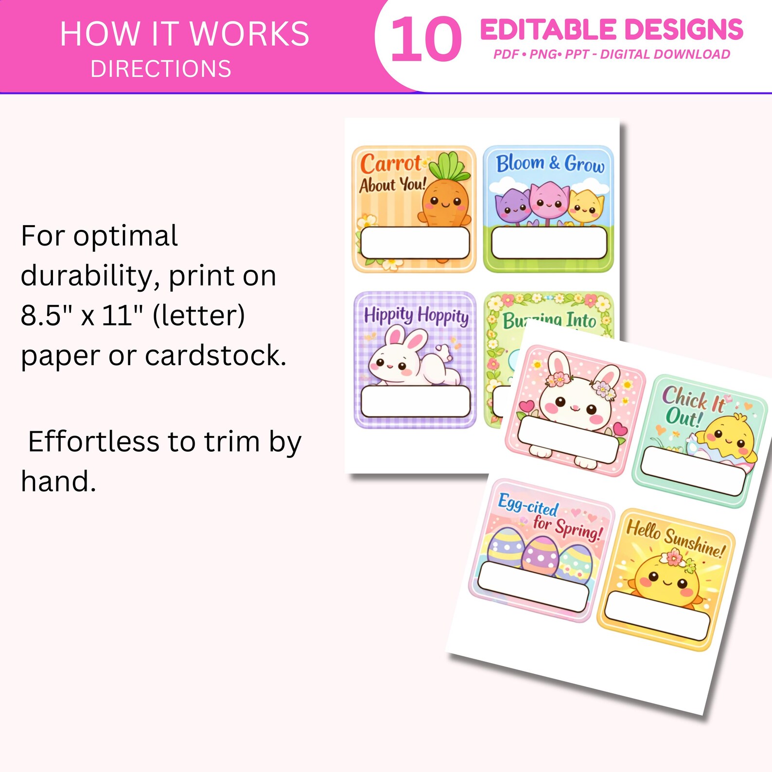 Springtime Cubby Labels Editable Spring Easter Cubby Name Tags: Classroom Labels (digital ...