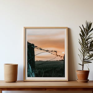 Op de afbeelding: Een ingelijste foto van een prikkeldraadpaal tegen een zonsondergang. De paal is verweerd en versleten, en het prikkeldraad is roestig. De zonsondergang is warm oranje en roze van kleur, en de lucht is helder.